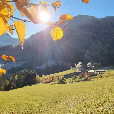 Koeck-chalet Domek alpejski