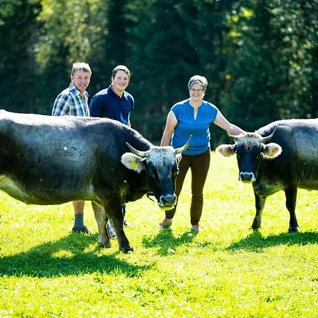 Koeck-chalet Domek alpejski
