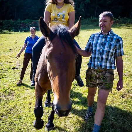 Koeck-chalet Domek alpejski