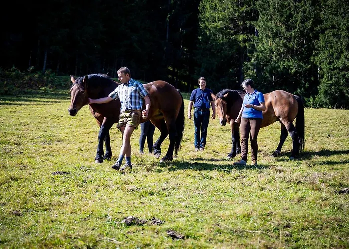 Koeck-chalet * Kleinsolk